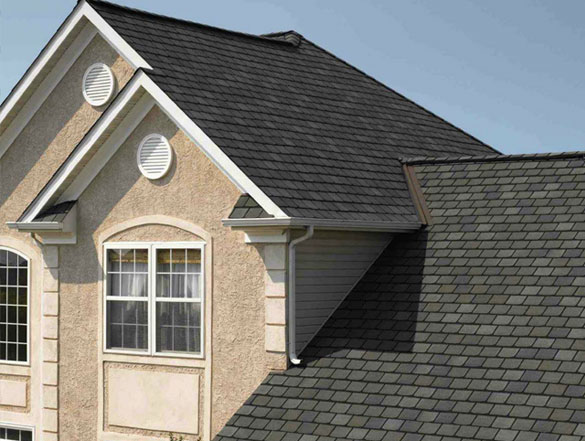 Window Contractor Centennial CO
